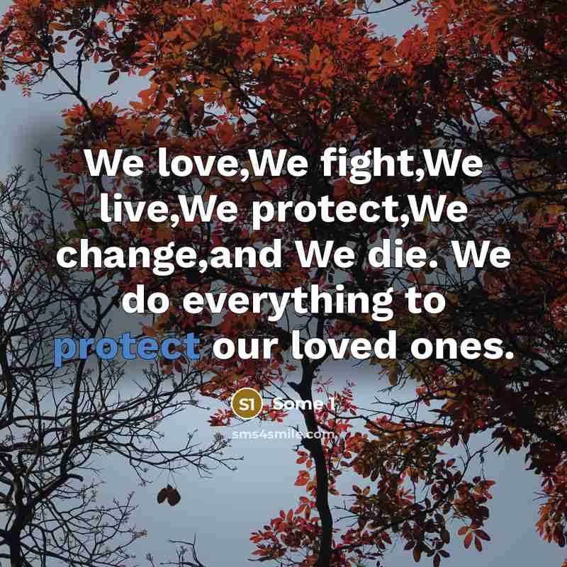“We love,We fight,We live,We protect,We change,and We die. We do everything to protect our loved ones.” quote by Some 1