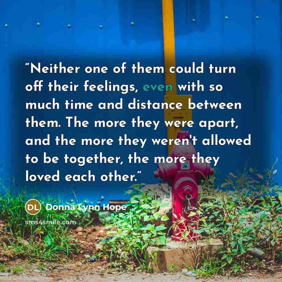 “Neither one of them could turn off their feelings, even with so much time and distance between them. The more they were apart, and the more they weren't allowed to be together, the more they loved each other.” quote by Donna Lynn Hope