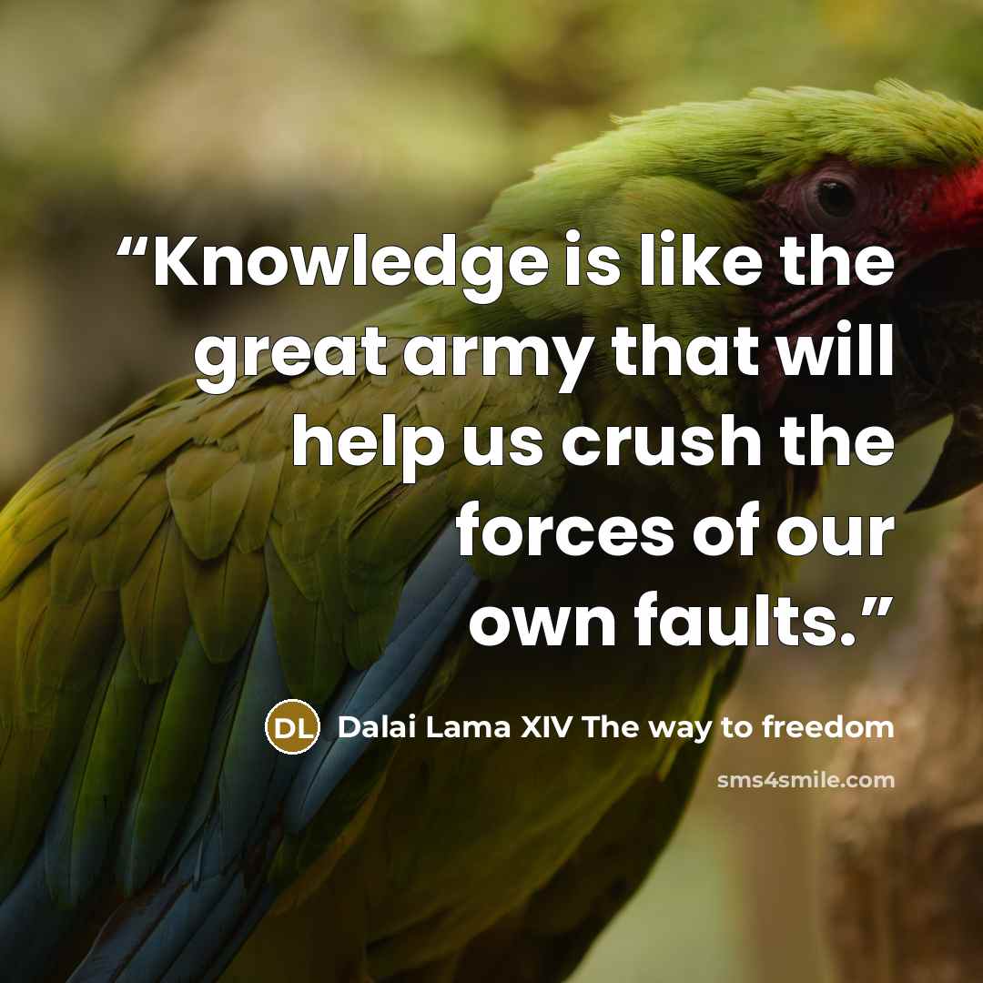 “Knowledge is like the great army that will help us crush the forces of our own faults.” quote by Dalai Lama XIV The way to freedom