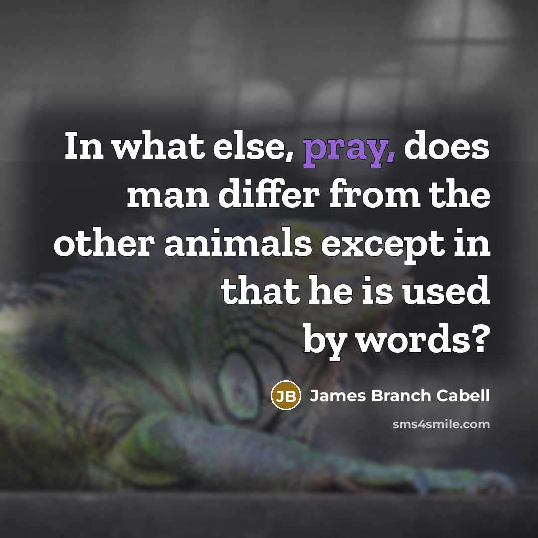 “In what else, pray, does man differ from the other animals except in that he is used by words?” quote by James Branch Cabell
