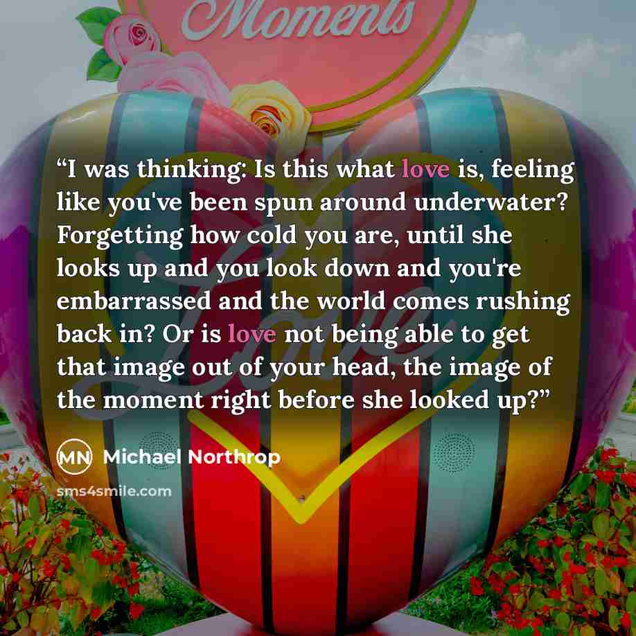 “I was thinking: Is this what love is, feeling like you've been spun around underwater? Forgetting how cold you are, until she looks up and you look down and you're embarrassed and the world comes rushing back in? Or is love not being able to get that image out of your head, the image of the moment…” quote by Michael Northrop