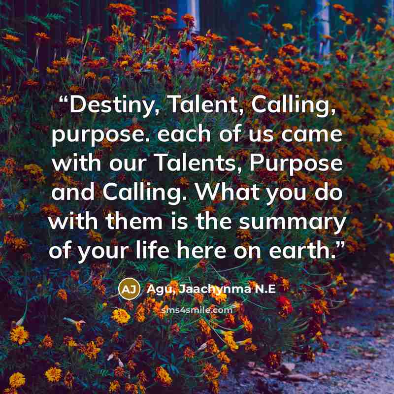 “Destiny, Talent, Calling, purpose. each of us came with our Talents, Purpose and Calling. What you do with them is the summary of your life here on earth.” quote by Agu, Jaachynma N.E