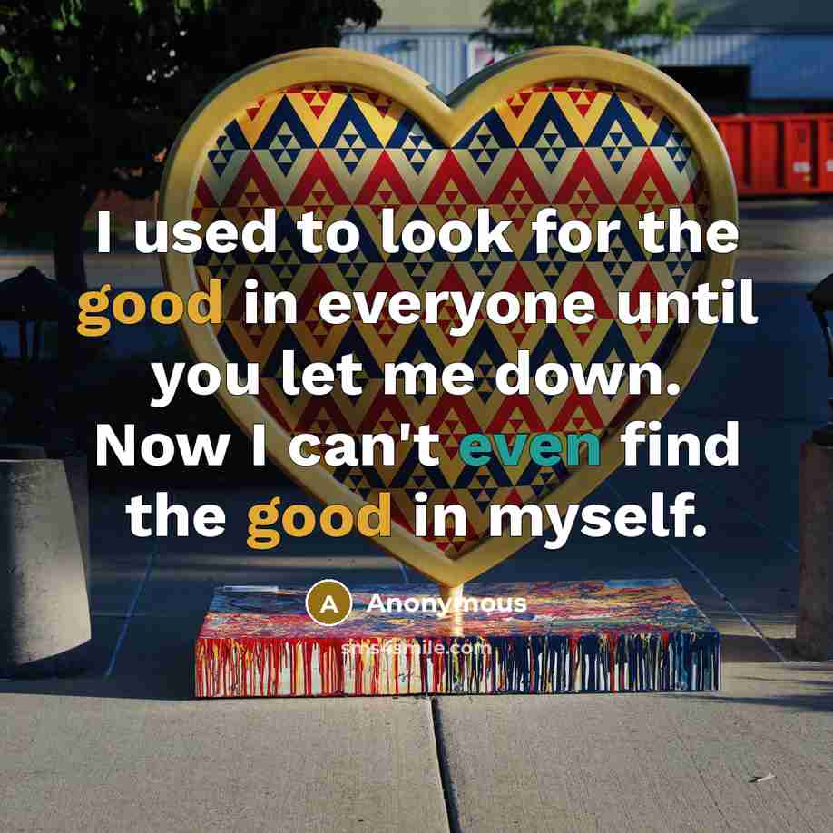 “I used to look for the good in everyone until you let me down. Now I can't even find the good in myself.” quote by Anonymous