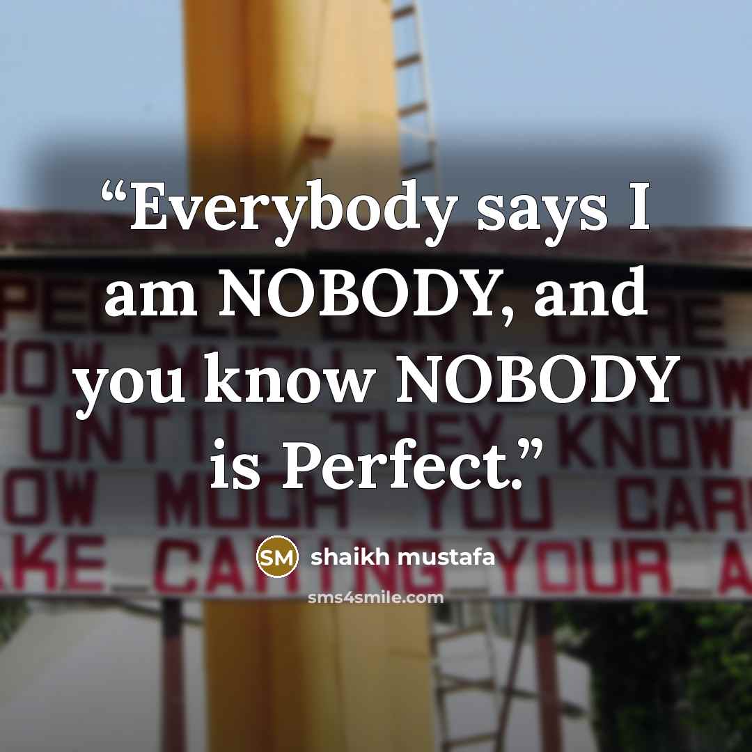 “Everybody says I am NOBODY, and you know NOBODY is Perfect.” quote by shaikh mustafa