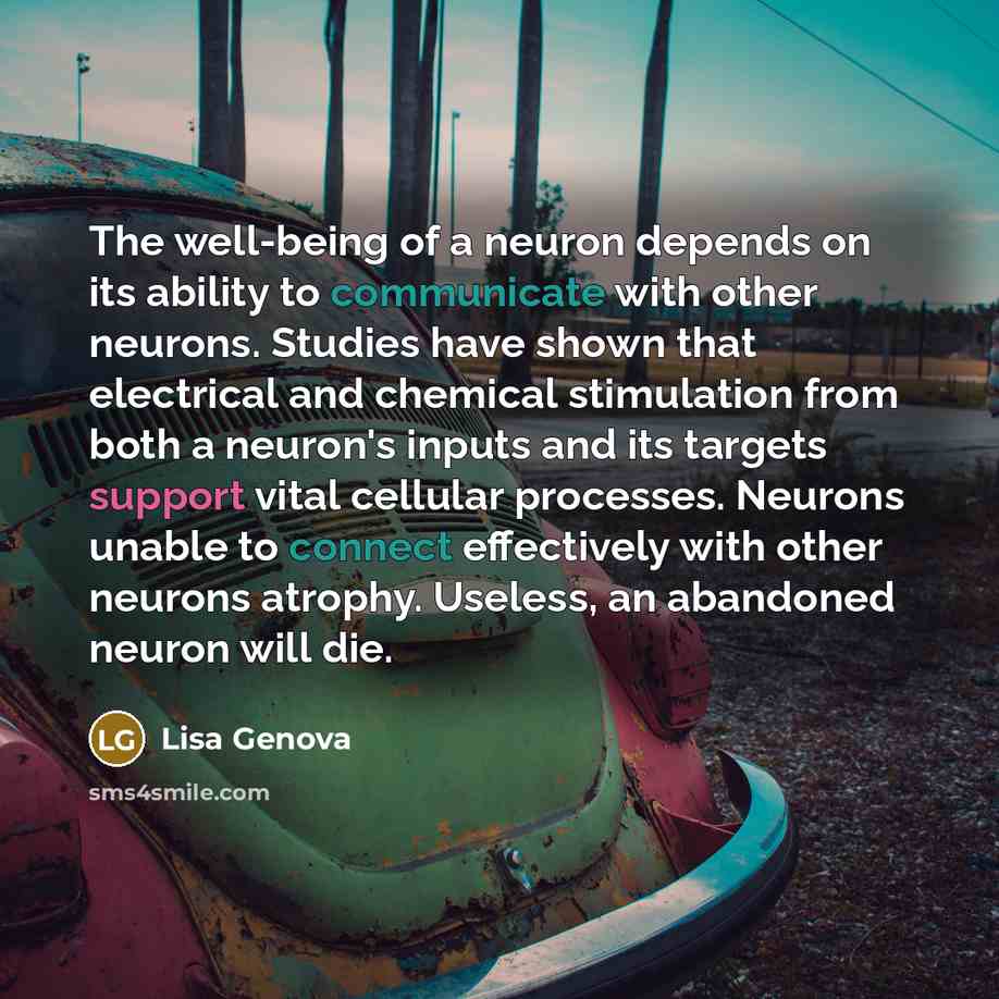 “The well-being of a neuron depends on its ability to communicate with other neurons. Studies have shown that electrical and chemical stimulation from both a neuron's inputs and its targets support vital cellular processes. Neurons unable to connect effectively with other neurons atrophy. Useless…” quote by Lisa Genova