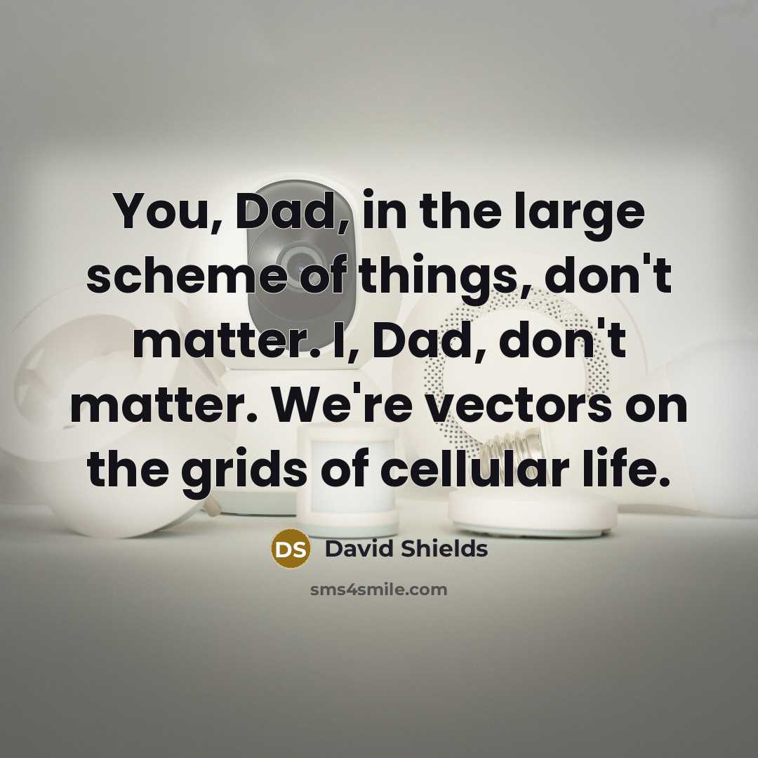 “You, Dad, in the large scheme of things, don't matter. I, Dad, don't matter. We're vectors on the grids of cellular life.” quote by David Shields