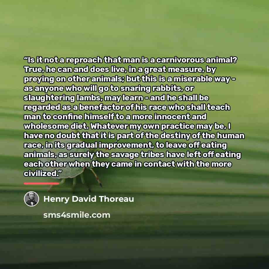 “Is it not a reproach that man is a carnivorous animal? True, he can and does live, in a great measure, by preying on other animals; but this is a miserable way - as anyone who will go to snaring rabbits, or slaughtering lambs, may learn - and he shall be regarded as a benefactor of his race who…” quote by Henry David Thoreau