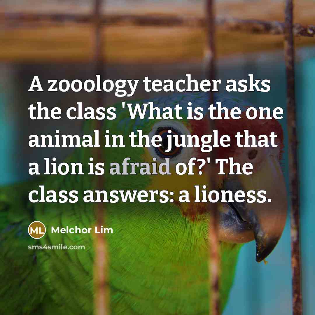 “A zooology teacher asks the class 'What is the one animal in the jungle that a lion is afraid of?' The class answers: a lioness.” quote by Melchor Lim