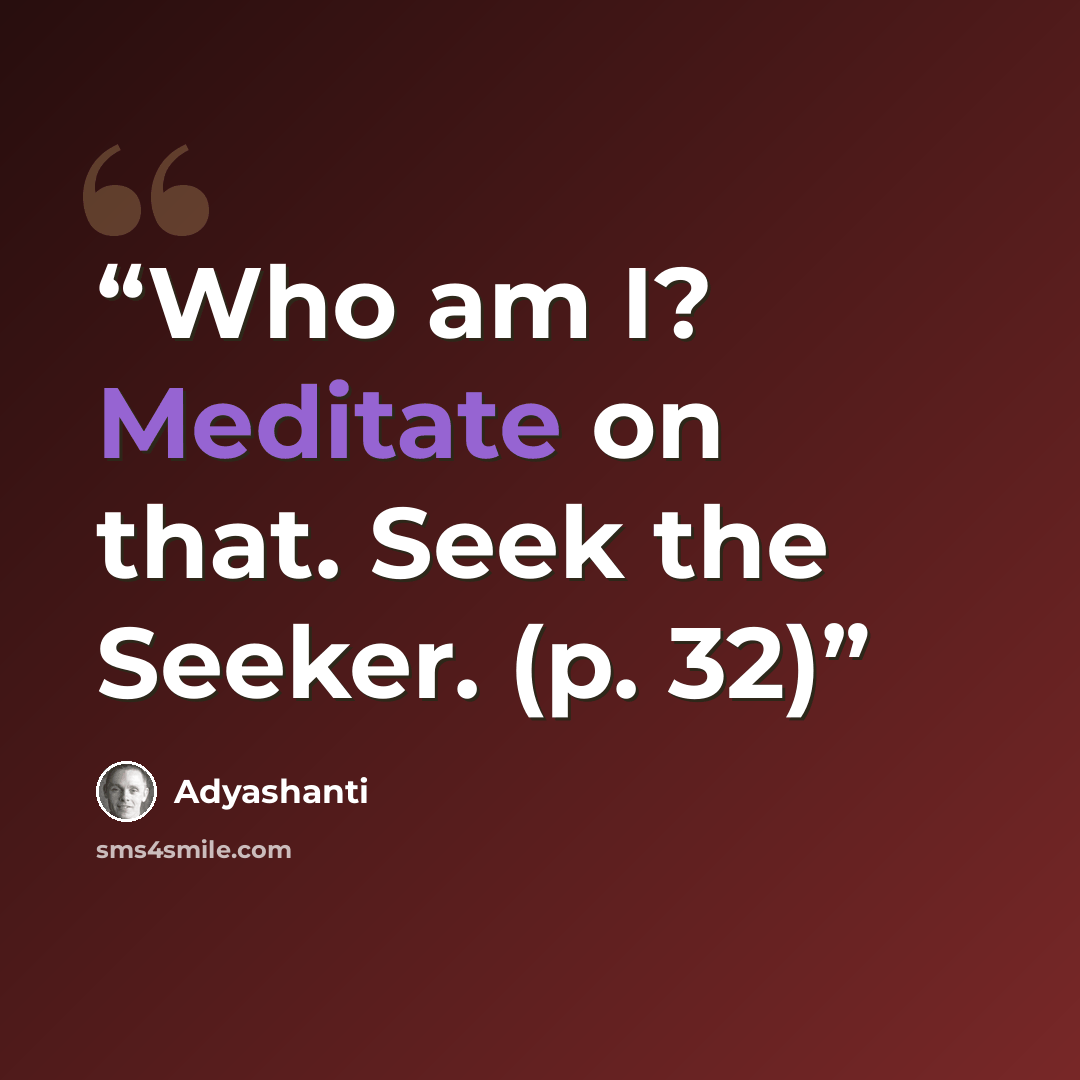 “Who am I? Meditate on that. Seek the Seeker. (p. 32)” quote by Adyashanti