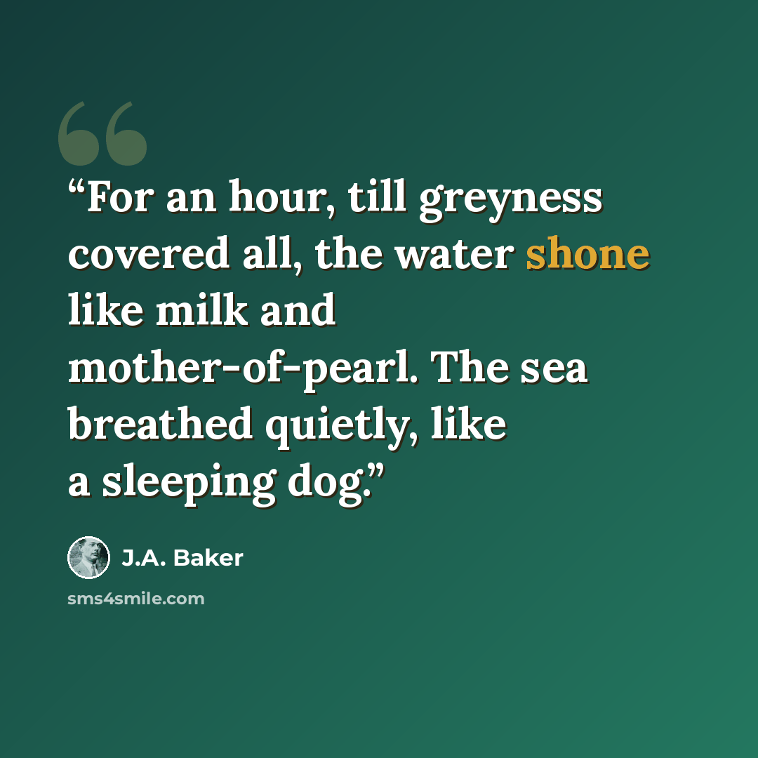 “For an hour, till greyness covered all, the water shone like milk and mother-of-pearl. The sea breathed quietly, like a sleeping dog.” quote by J.A. Baker