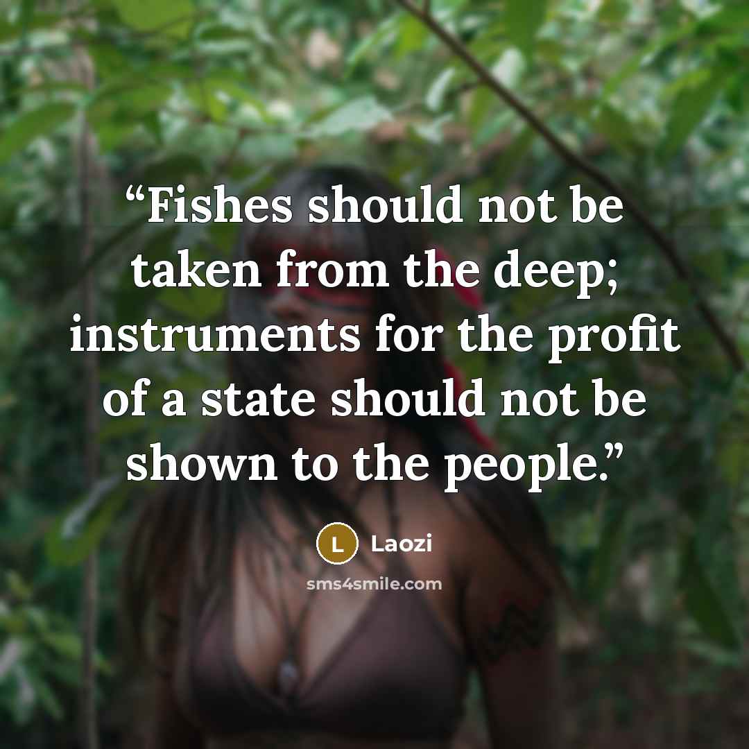 “Fishes should not be taken from the deep; instruments for the profit of a state should not be shown to the people.” quote by Laozi