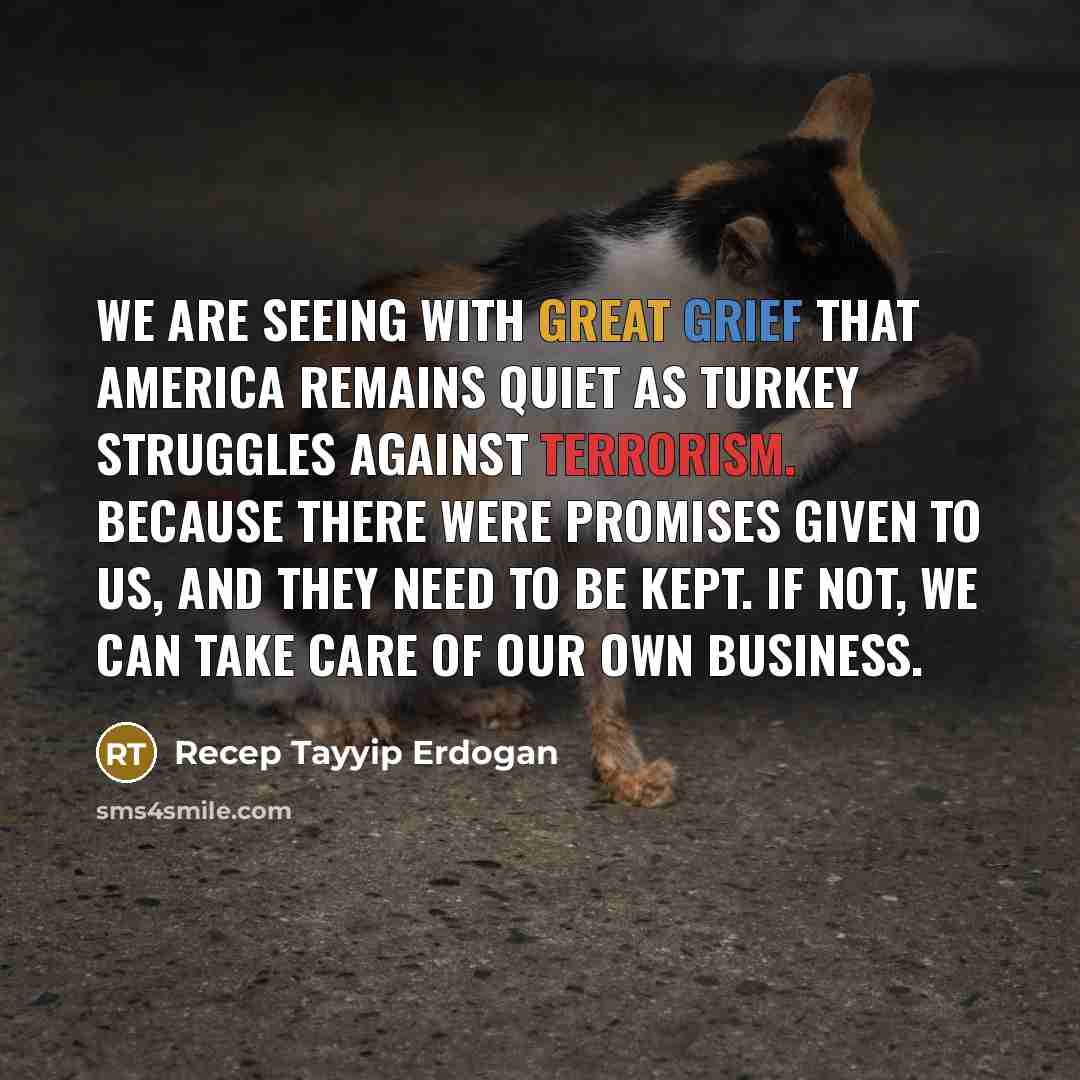 “We are seeing with great grief that America remains quiet as Turkey struggles against terrorism. Because there were promises given to us, and they need to be kept. If not, we can take care of our own business.” quote by Recep Tayyip Erdogan