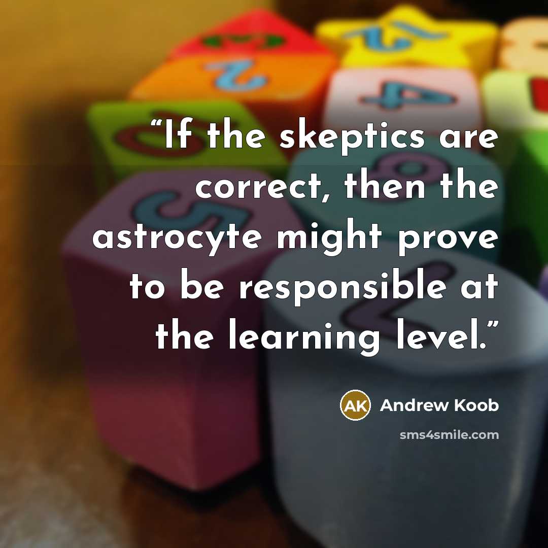 “If the skeptics are correct, then the astrocyte might prove to be responsible at the learning level.” quote by Andrew Koob