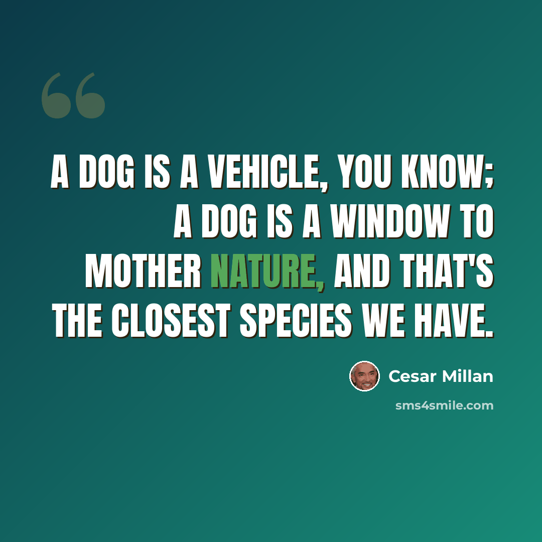 “A dog is a vehicle, you know; a dog is a window to Mother Nature, and that's the closest species we have.” quote by Cesar Millan