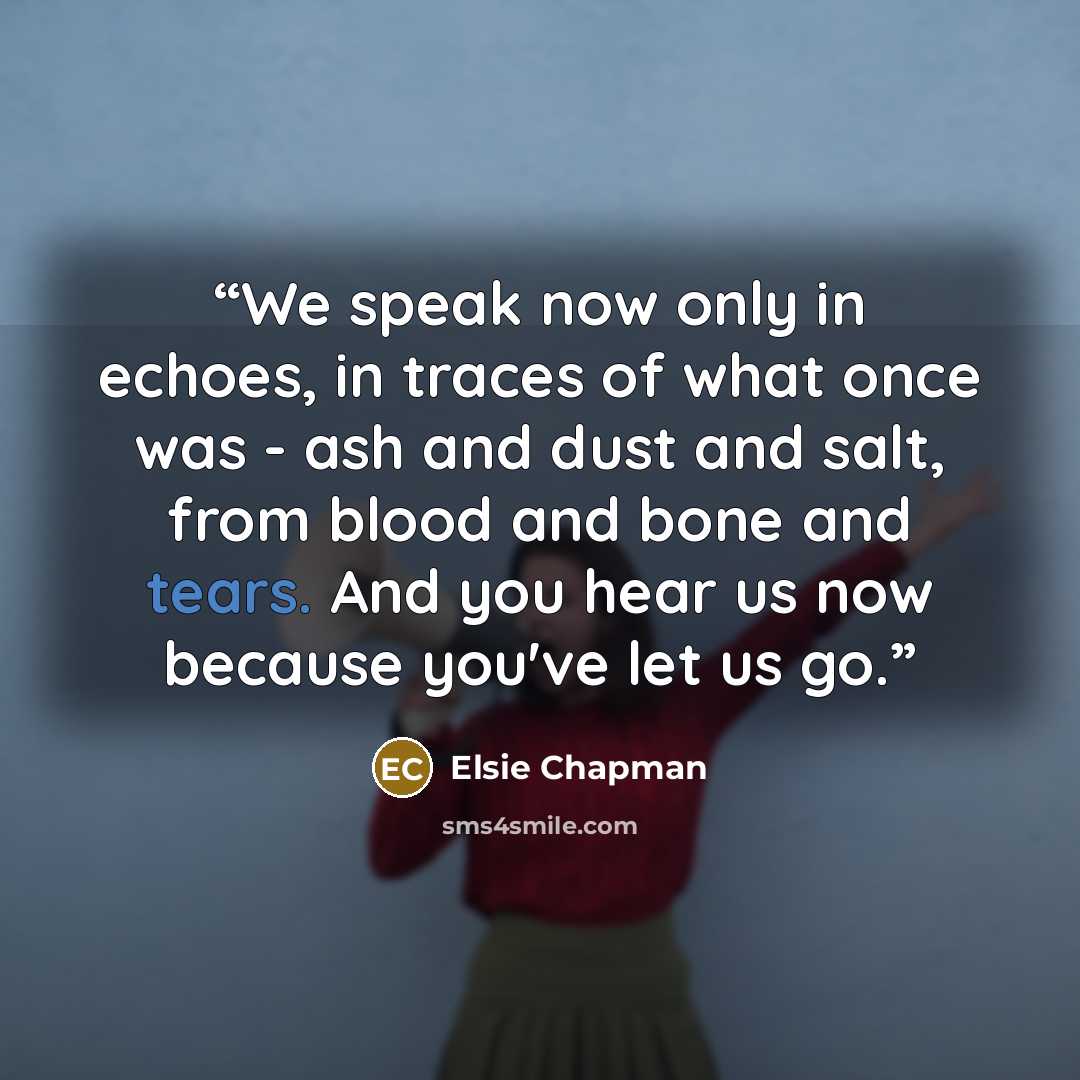 “We speak now only in echoes, in traces of what once was - ash and dust and salt, from blood and bone and tears. And you hear us now because you've let us go.” quote by Elsie Chapman