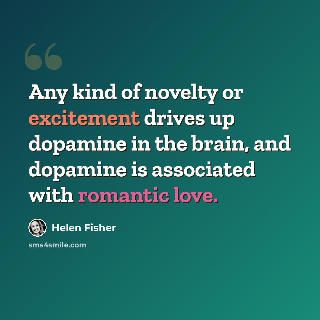 “Any kind of novelty or excitement drives up dopamine in the brain, and dopamine is associated with romantic love.” quote by Helen Fisher