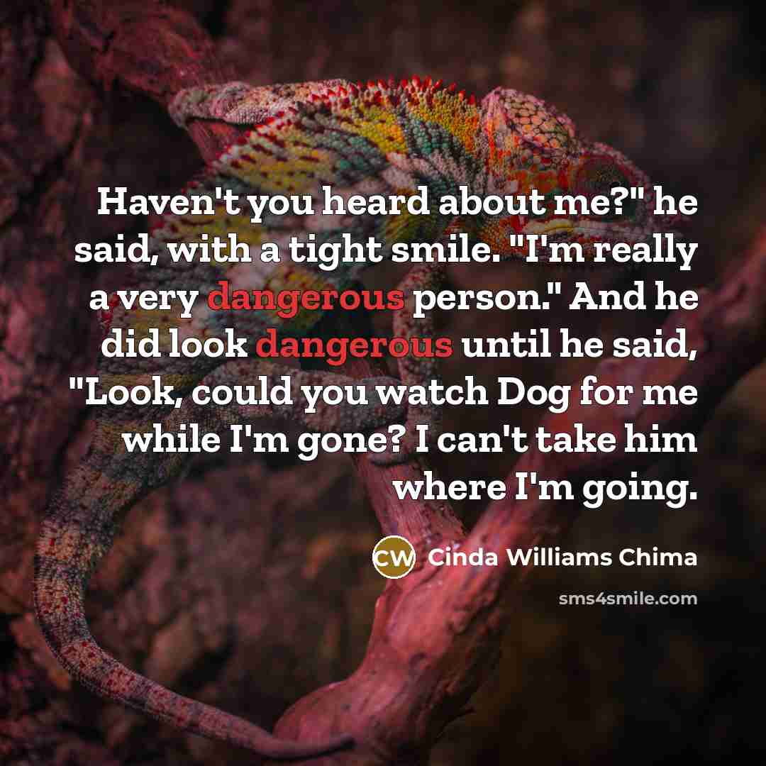 “Haven't you heard about me?" he said, with a tight smile. "I'm really a very dangerous person." And he did look dangerous until he said, "Look, could you watch Dog for me while I'm gone? I can't take him where I'm going.” quote by Cinda Williams Chima