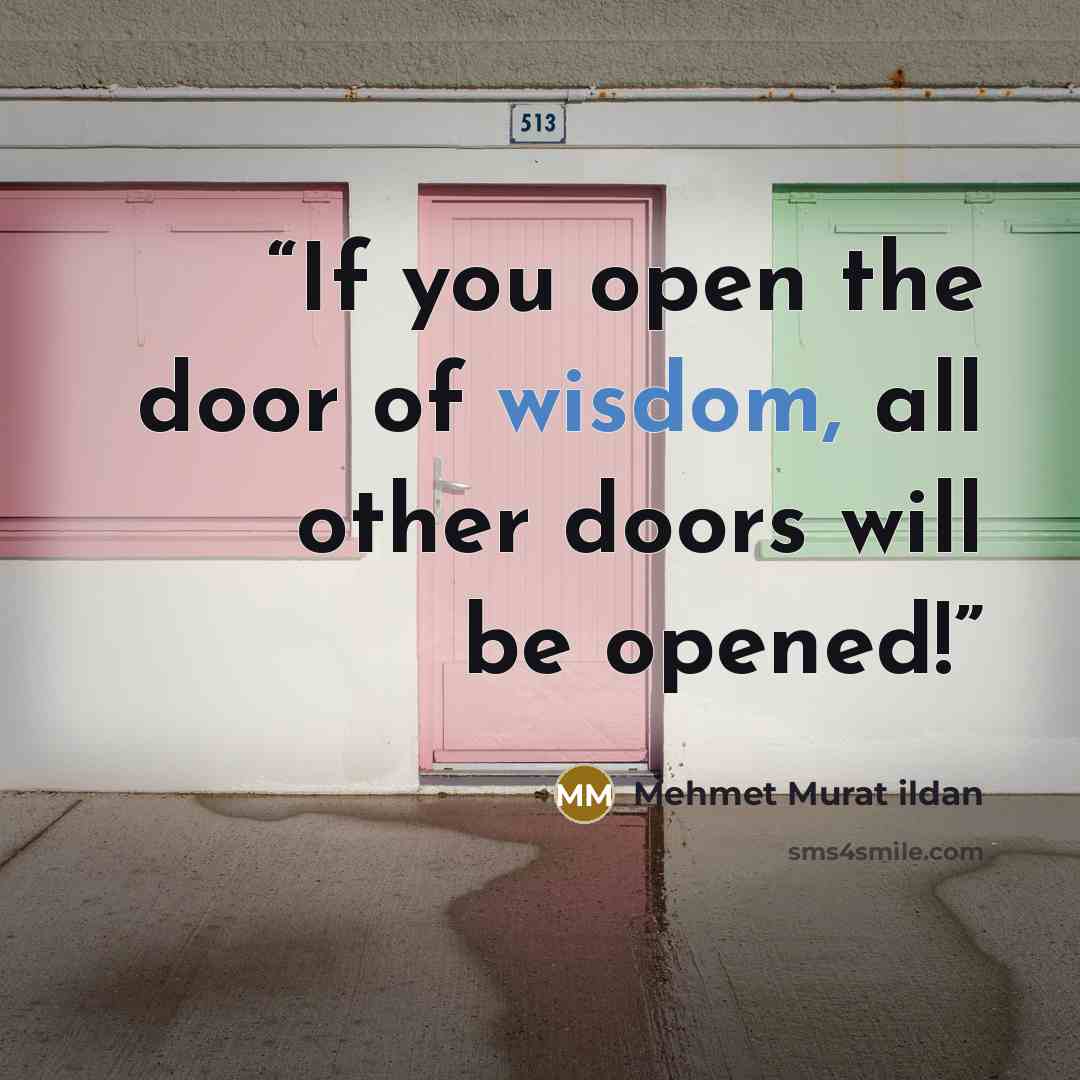 “If you open the door of wisdom, all other doors will be opened!” quote by Mehmet Murat ildan