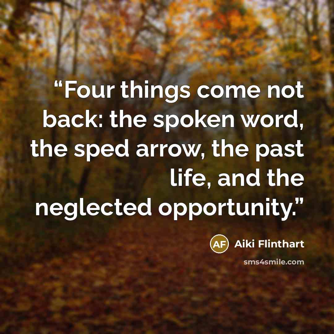 “Four things come not back: the spoken word, the sped arrow, the past life, and the neglected opportunity.” quote by Aiki Flinthart