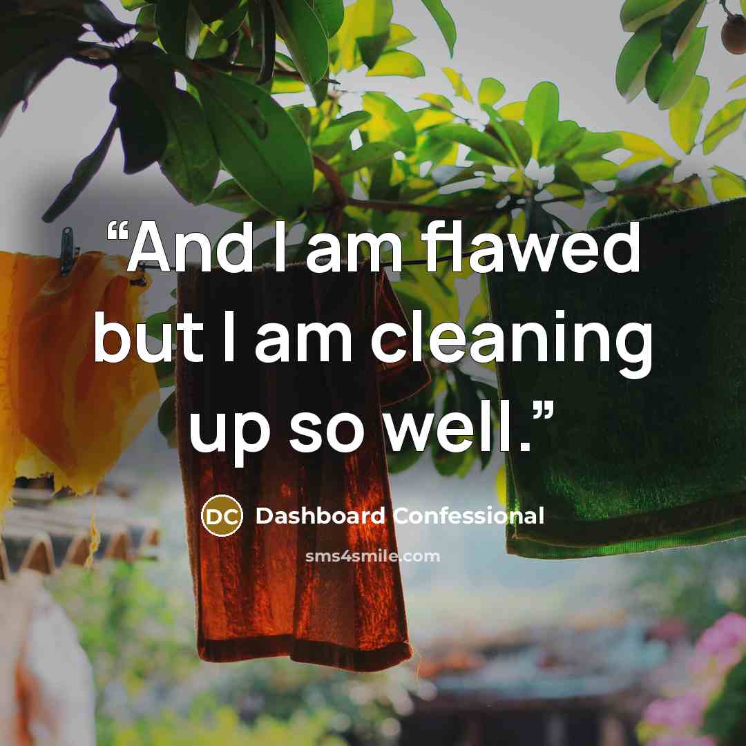 “And I am flawed but I am cleaning up so well.” quote by Dashboard Confessional