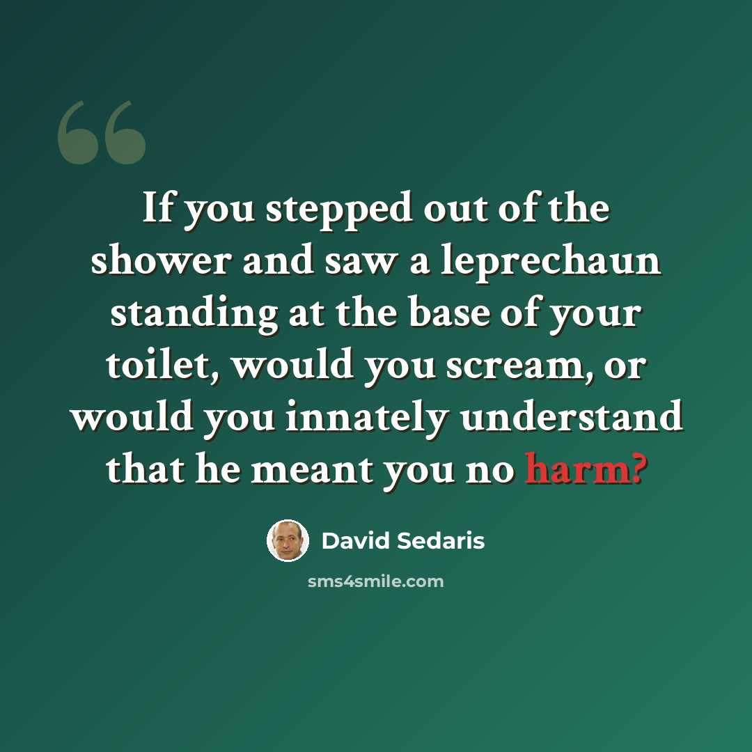“If you stepped out of the shower and saw a leprechaun standing at the base of your toilet, would you scream, or would you innately understand that he meant you no harm?” quote by David Sedaris