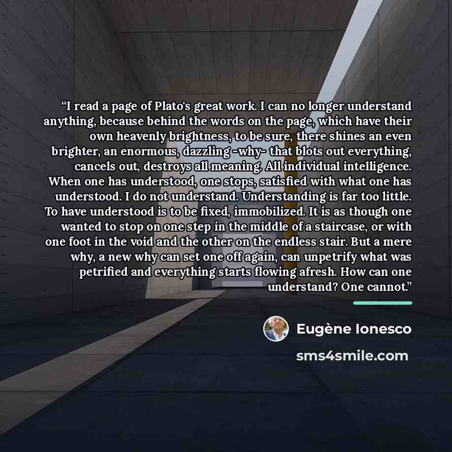 “I read a page of Plato's great work. I can no longer understand anything, because behind the words on the page, which have their own heavenly brightness, to be sure, there shines an even brighter, an enormous, dazzling -why- that blots out everything, cancels out, destroys all meaning. All…” quote by Eugène Ionesco
