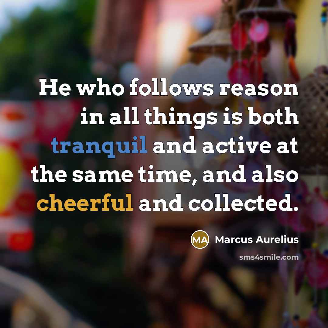 “He who follows reason in all things is both tranquil and active at the same time, and also cheerful and collected.” quote by Marcus Aurelius