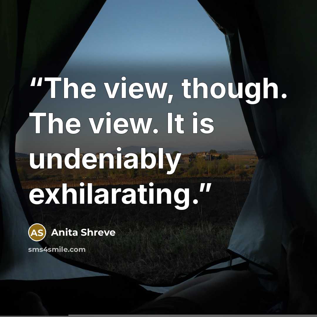 “The view, though. The view. It is undeniably exhilarating.” quote by Anita Shreve