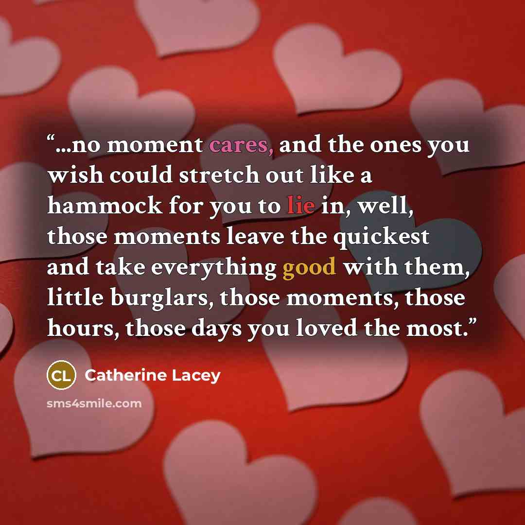 “...no moment cares, and the ones you wish could stretch out like a hammock for you to lie in, well, those moments leave the quickest and take everything good with them, little burglars, those moments, those hours, those days you loved the most.” quote by Catherine Lacey