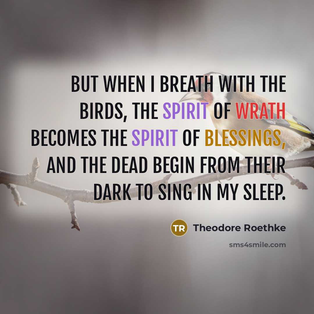 “But when I breath with the birds, The spirit of wrath becomes the spirit of blessings, And the dead begin from their dark to sing in my sleep.” quote by Theodore Roethke