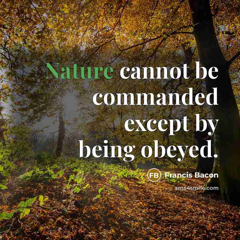 “Nature cannot be commanded except by being obeyed.” quote by Francis Bacon