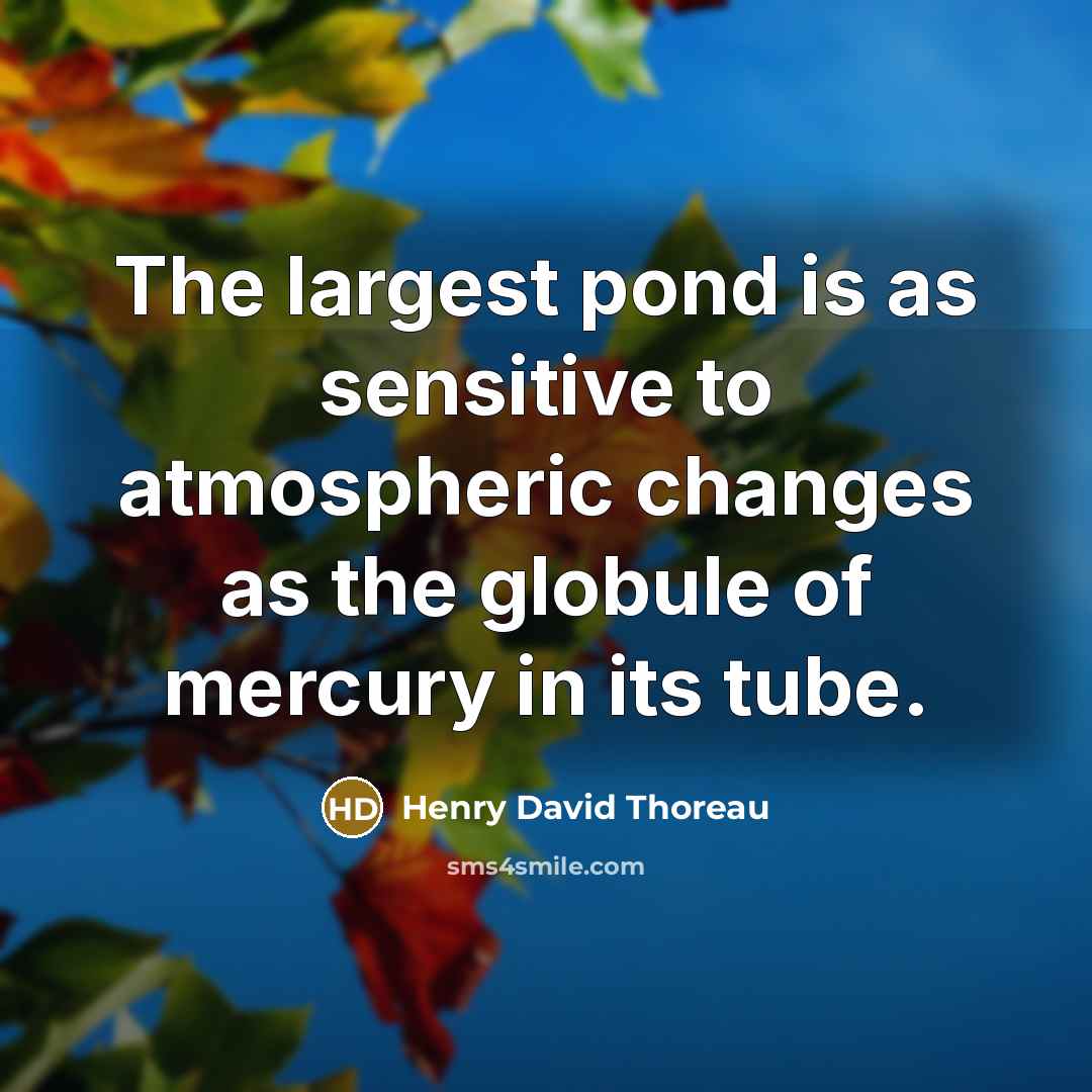 “The largest pond is as sensitive to atmospheric changes as the globule of mercury in its tube.” quote by Henry David Thoreau