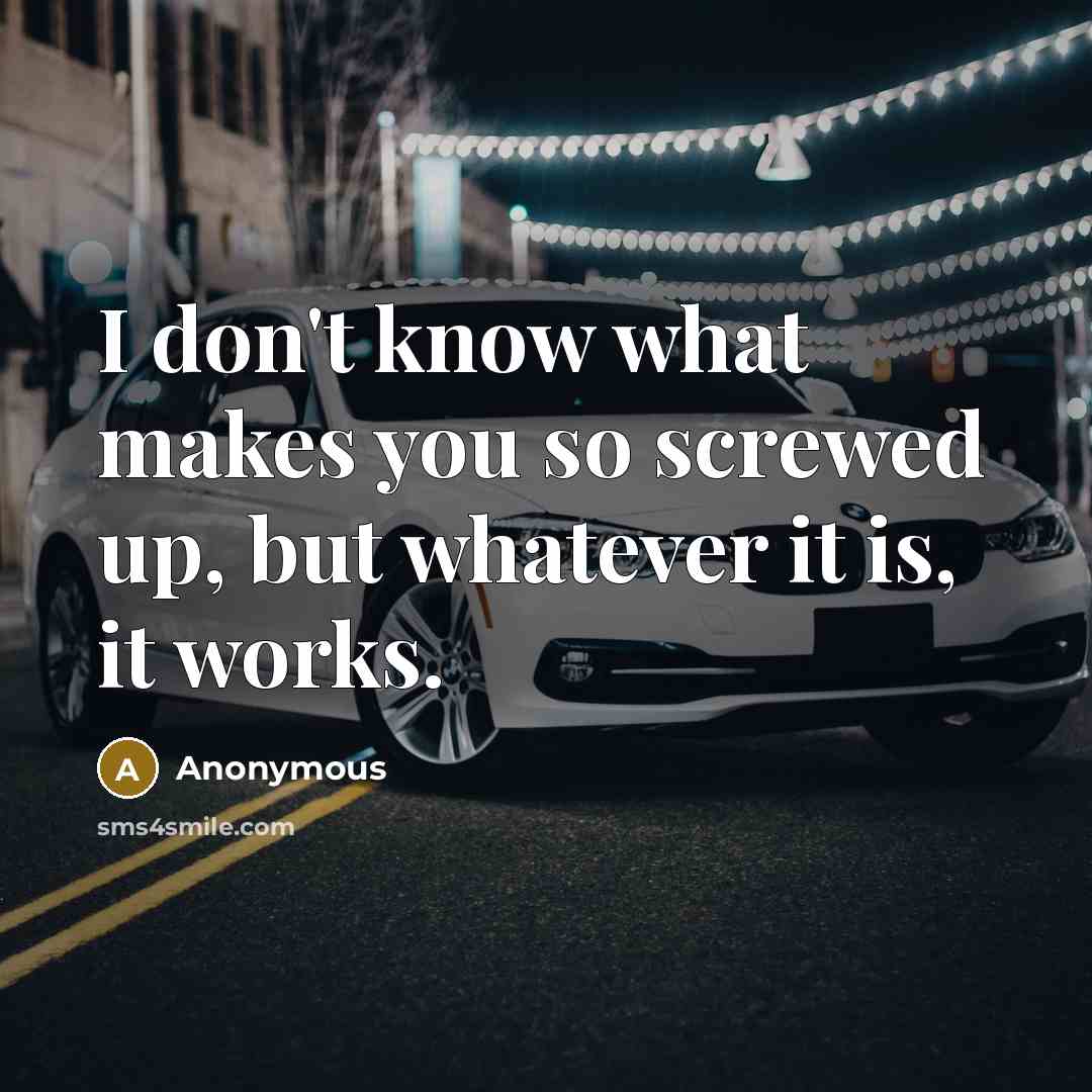 “I don't know what makes you so screwed up, but whatever it is, it works.” quote by Anonymous