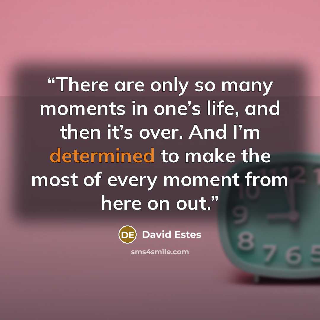 “There are only so many moments in one’s life, and then it’s over. And I’m determined to make the most of every moment from here on out.” quote by David Estes