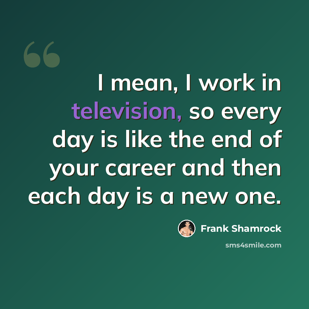 “I mean, I work in television, so every day is like the end of your career and then each day is a new one.” quote by Frank Shamrock