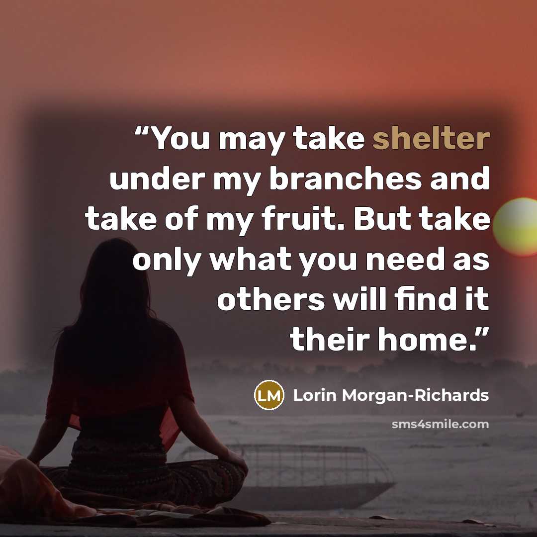 “You may take shelter under my branches and take of my fruit. But take only what you need as others will find it their home.” quote by Lorin Morgan-Richards
