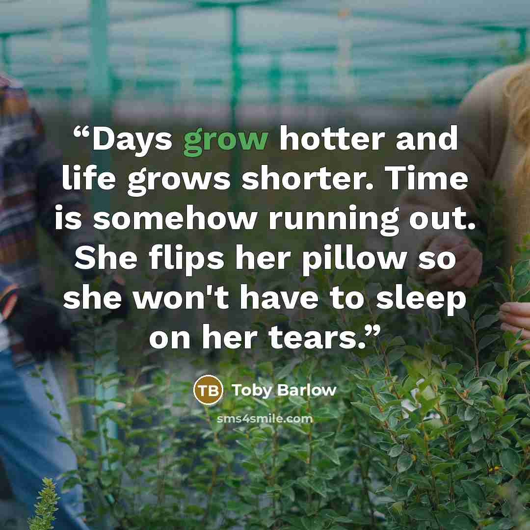 “Days grow hotter and life grows shorter. Time is somehow running out. She flips her pillow so she won't have to sleep on her tears.” quote by Toby Barlow