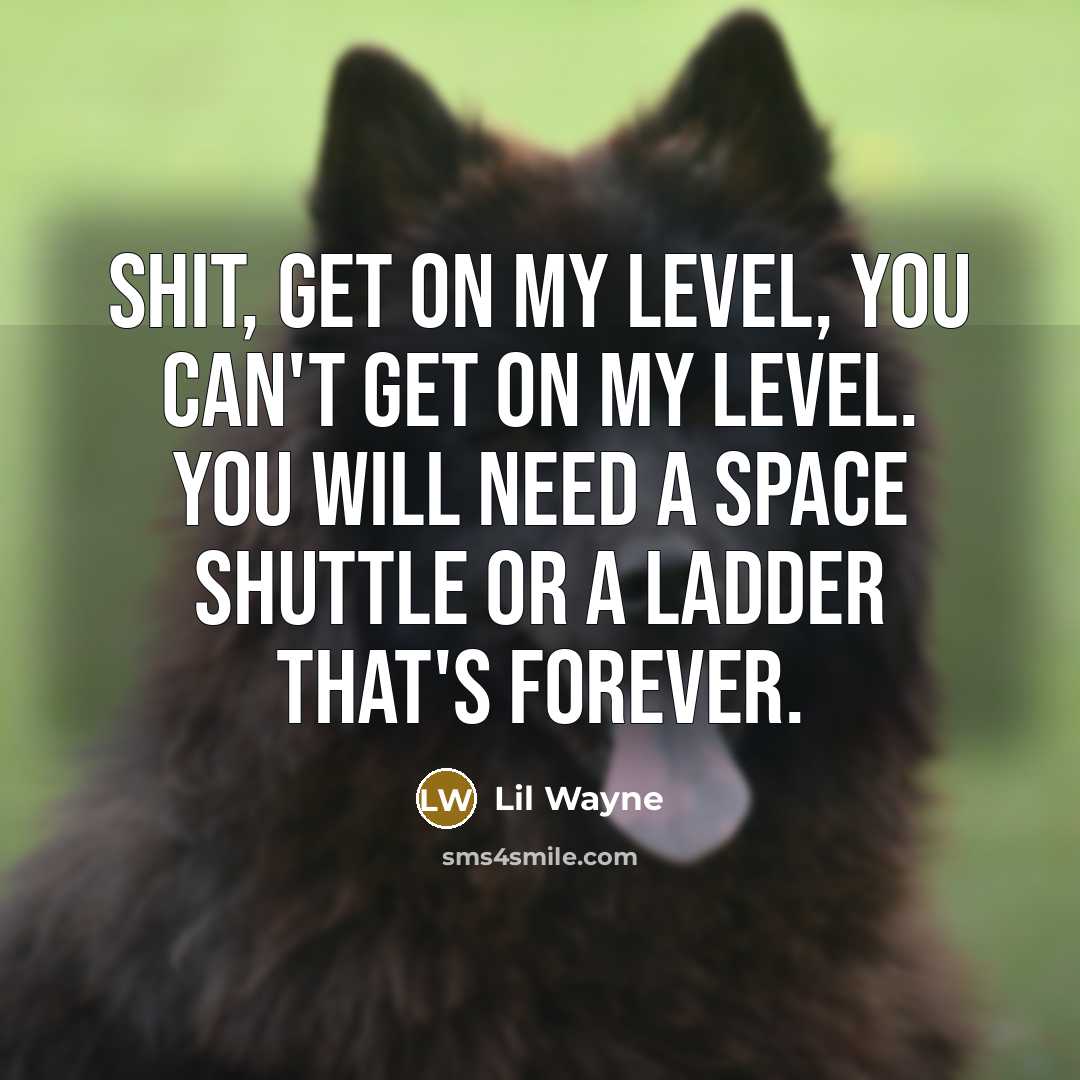 “Shit, get on my level, you can't get on my level. You will need a space shuttle or a ladder that's forever.” quote by Lil Wayne