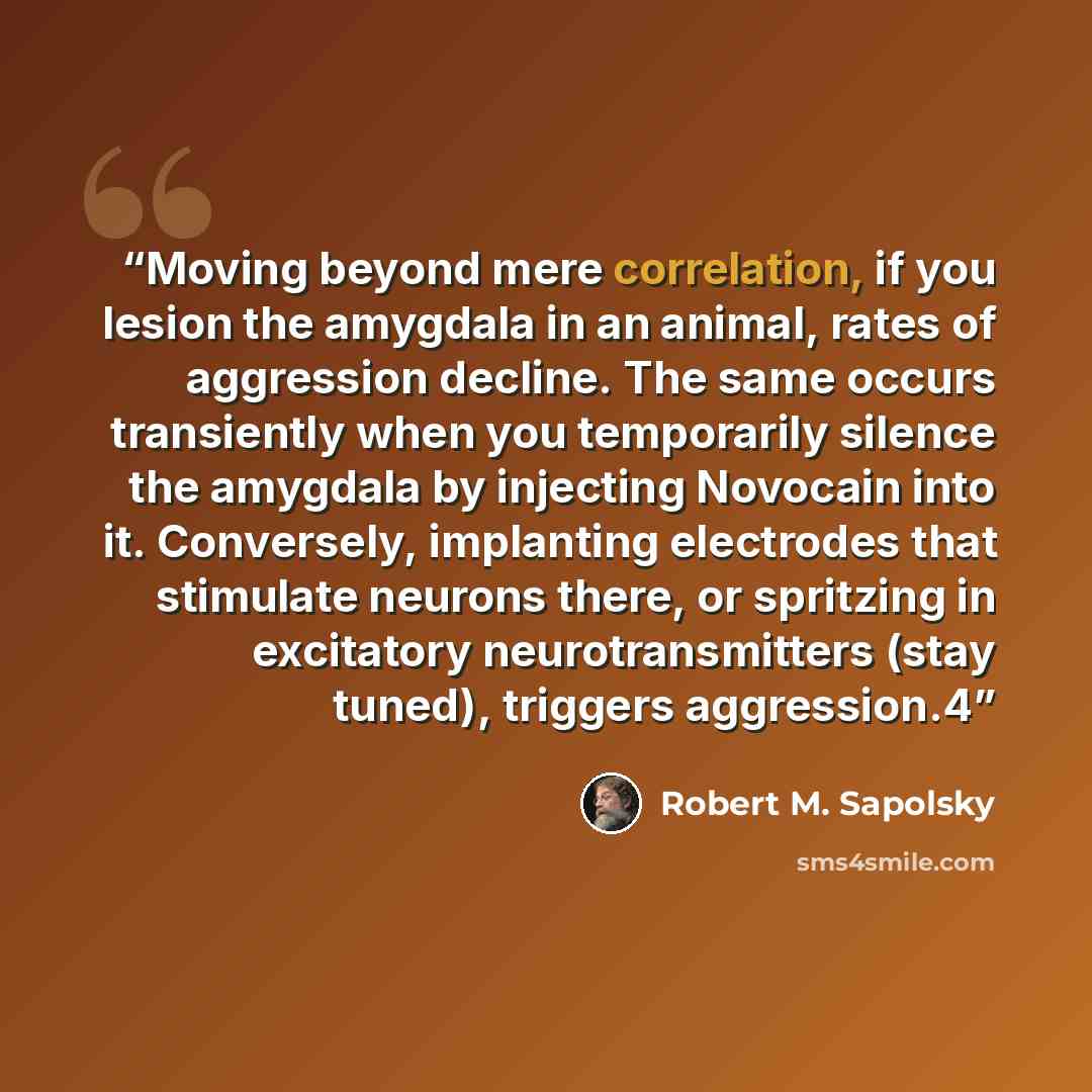 “Moving beyond mere correlation, if you lesion the amygdala in an animal, rates of aggression decline. The same occurs transiently when you temporarily silence the amygdala by injecting Novocain into it. Conversely, implanting electrodes that stimulate neurons there, or spritzing in excitatory…” quote by Robert M. Sapolsky