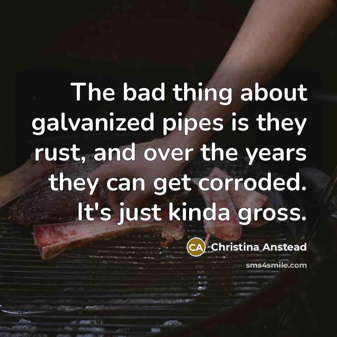 “The bad thing about galvanized pipes is they rust, and over the years they can get corroded. It's just kinda gross.” quote by Christina Anstead