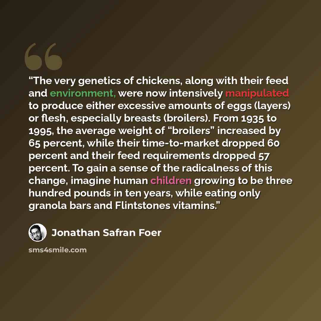 “The very genetics of chickens, along with their feed and environment, were now intensively manipulated to produce either excessive amounts of eggs (layers) or flesh, especially breasts (broilers). From 1935 to 1995, the average weight of “broilers” increased by 65 percent, while their…” quote by Jonathan Safran Foer