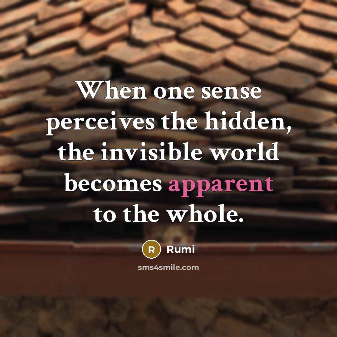 “When one sense perceives the hidden, the invisible world becomes apparent to the whole.” quote by Rumi