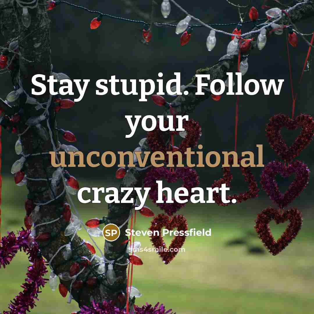 “Stay stupid. Follow your unconventional crazy heart.” quote by Steven Pressfield