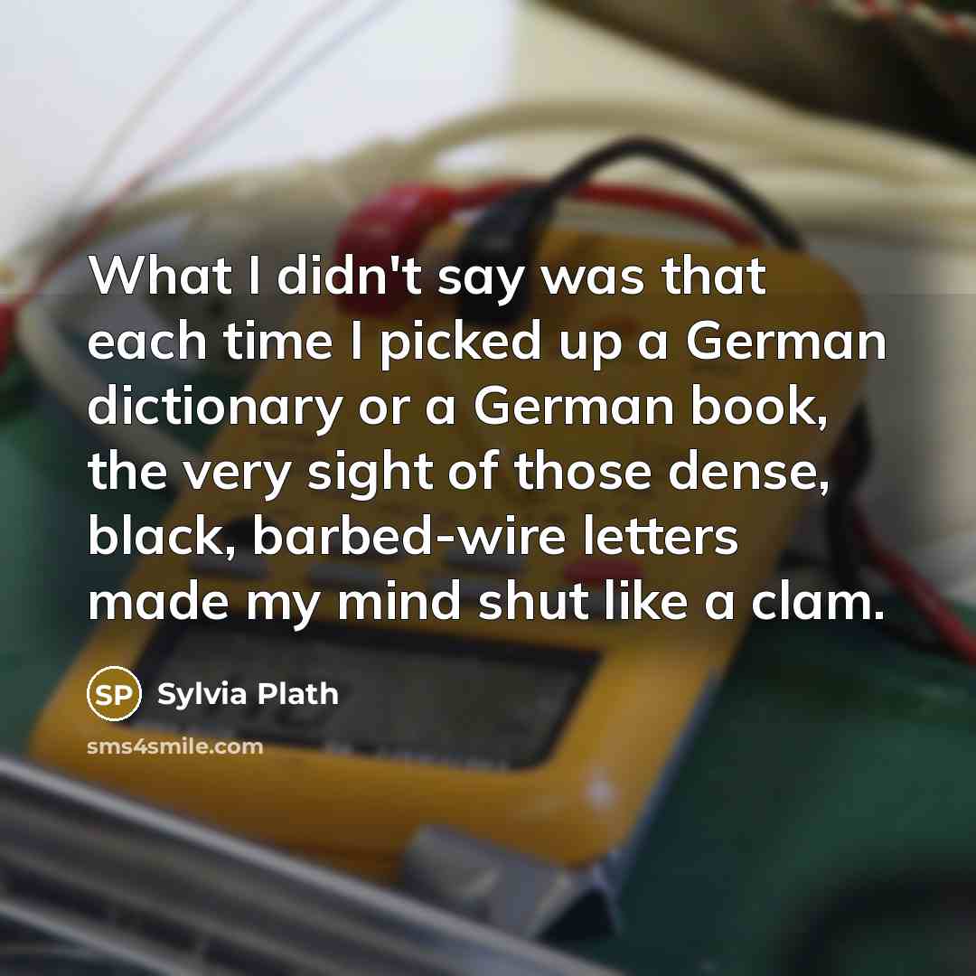 “What I didn't say was that each time I picked up a German dictionary or a German book, the very sight of those dense, black, barbed-wire letters made my mind shut like a clam.” quote by Sylvia Plath