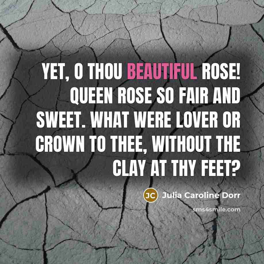 “Yet, O thou beautiful rose! Queen rose so fair and sweet. What were lover or crown to thee, without the clay at thy feet?” quote by Julia Caroline Dorr