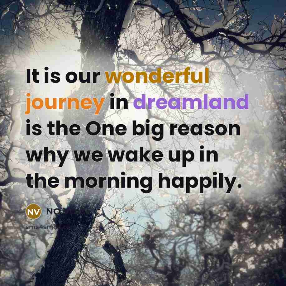 “It is our wonderful journey in dreamland is the One big reason why we wake up in the morning happily.” quote by NO VOICE