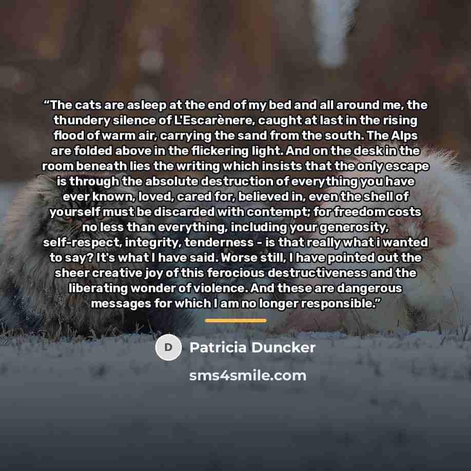 “The cats are asleep at the end of my bed and all around me, the thundery silence of L'Escarènere, caught at last in the rising flood of warm air, carrying the sand from the south. The Alps are folded above in the flickering light. And on the desk in the room beneath lies the writing which insists…” quote by Patricia Duncker
