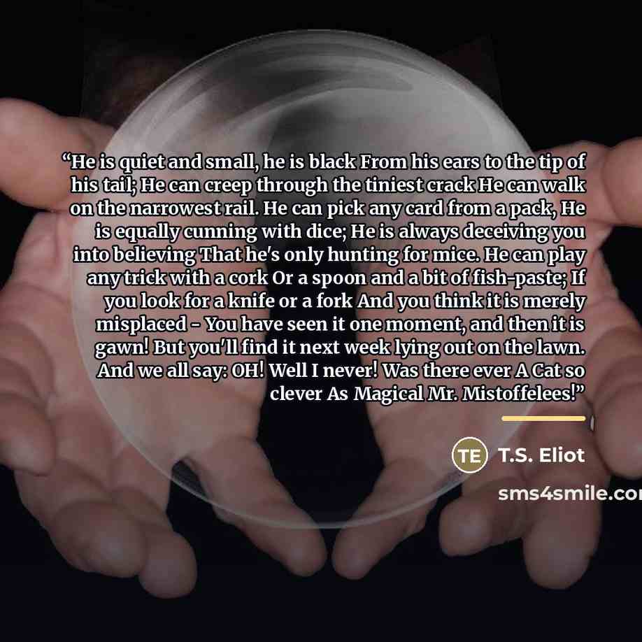 “He is quiet and small, he is black From his ears to the tip of his tail; He can creep through the tiniest crack He can walk on the narrowest rail. He can pick any card from a pack, He is equally cunning with dice; He is always deceiving you into believing That he's only hunting for mice. He can…” quote by T.S. Eliot