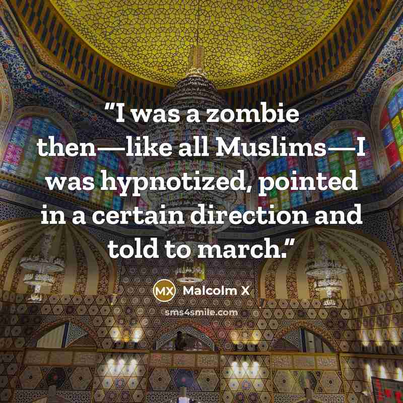 “I was a zombie then—like all Muslims—I was hypnotized, pointed in a certain direction and told to march.” quote by Malcolm X