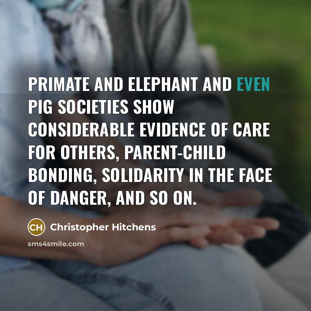 “Primate and elephant and even pig societies show considerable evidence of care for others, parent-child bonding, solidarity in the face of danger, and so on.” quote by Christopher Hitchens